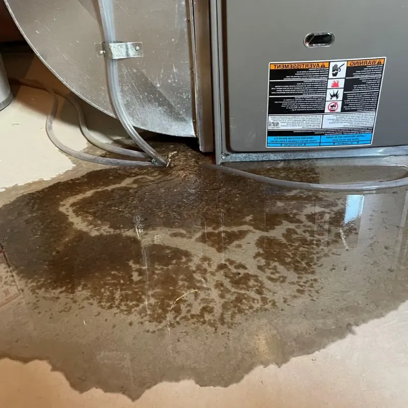 Pipe Burst and Leak Restoration in Vandergrift, PA