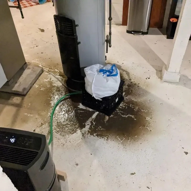 Sewage Backup Cleanup Service in Vandergrift, PA